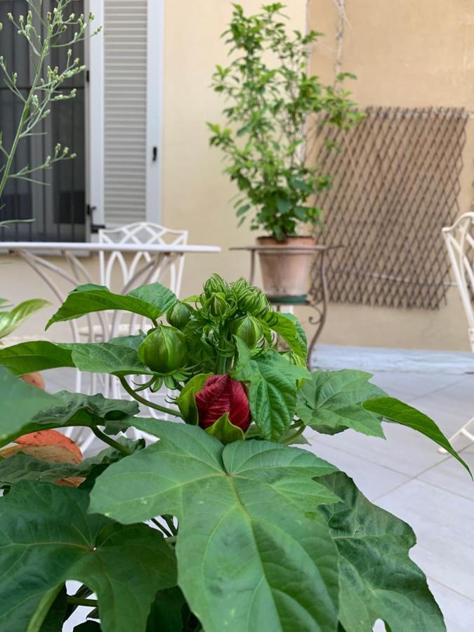 La Terrazza Vercelli Bed & Charme Ngoại thất bức ảnh